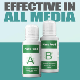 Haligo hydroponics solution in use boosts vibrant greens and herbs.