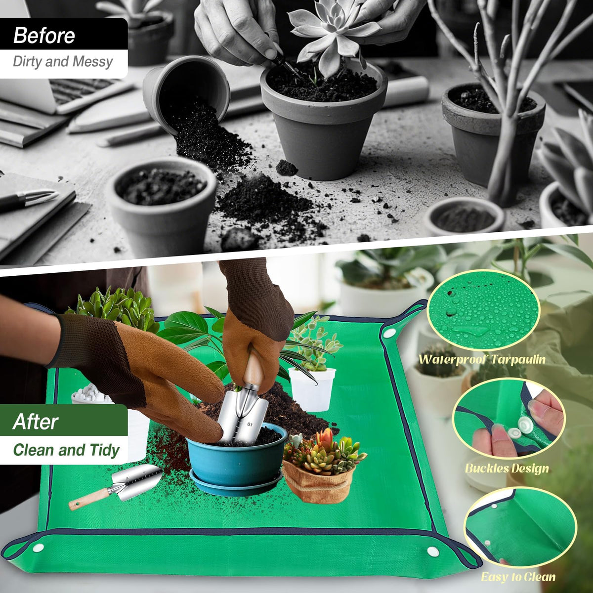 Halilus transplanter aids accurate transplanting into beds and pots
