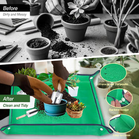 Halilus transplanter aids accurate transplanting into beds and pots