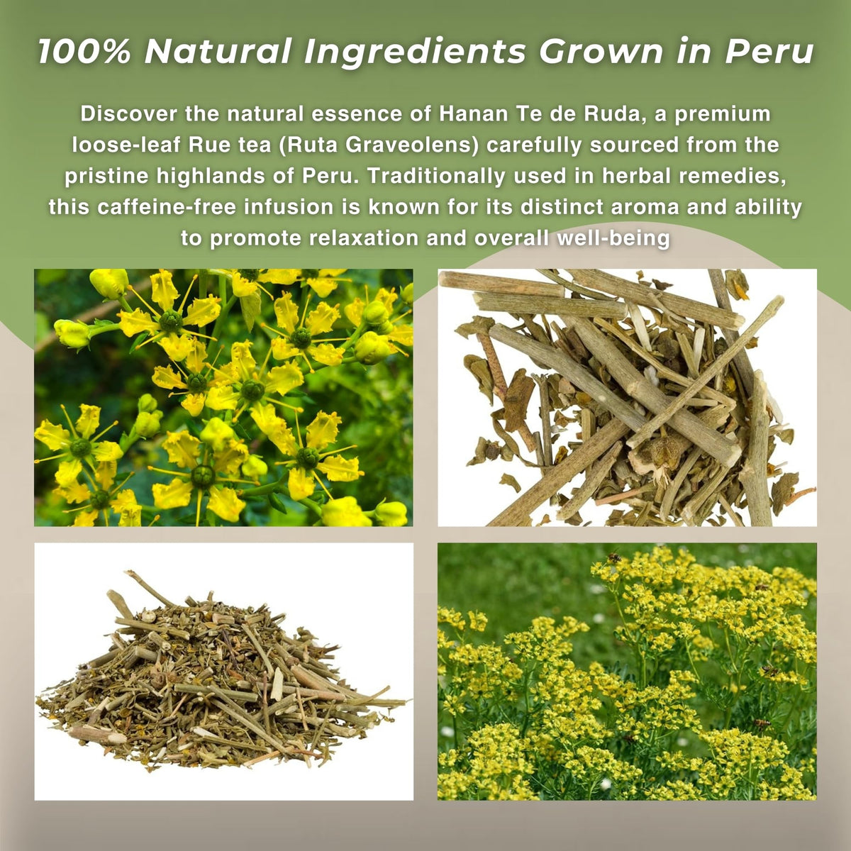 Hanan Rue natural ingredients highlight caffeine-free, additive-free tea.