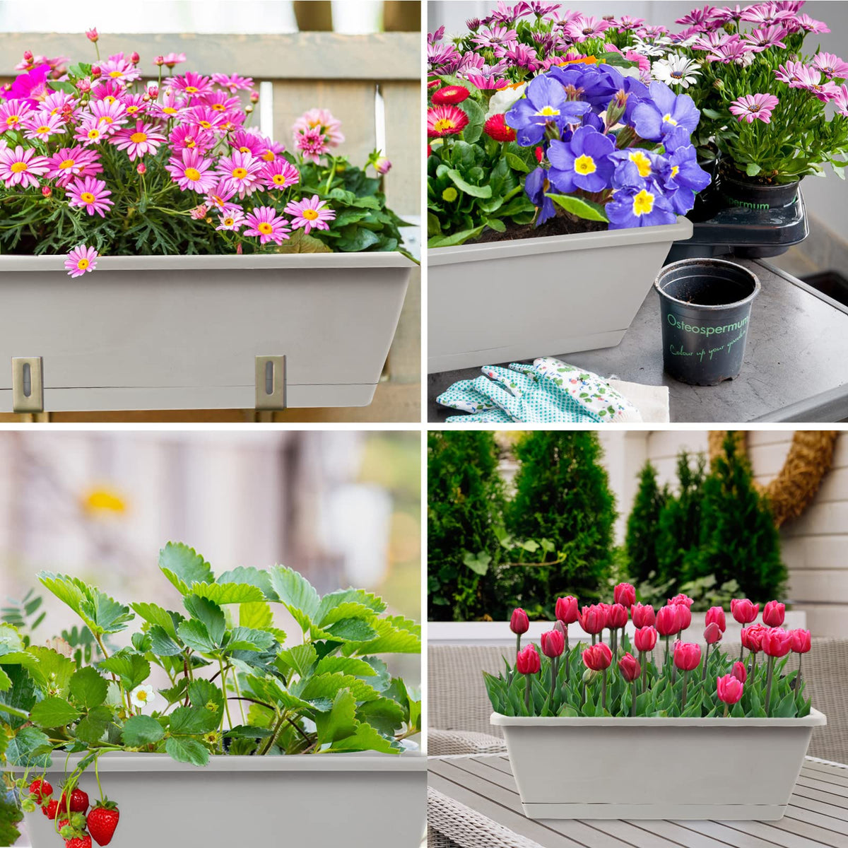Hananojia grey windowsill planter suits compact spaces and supports easy plant organization.