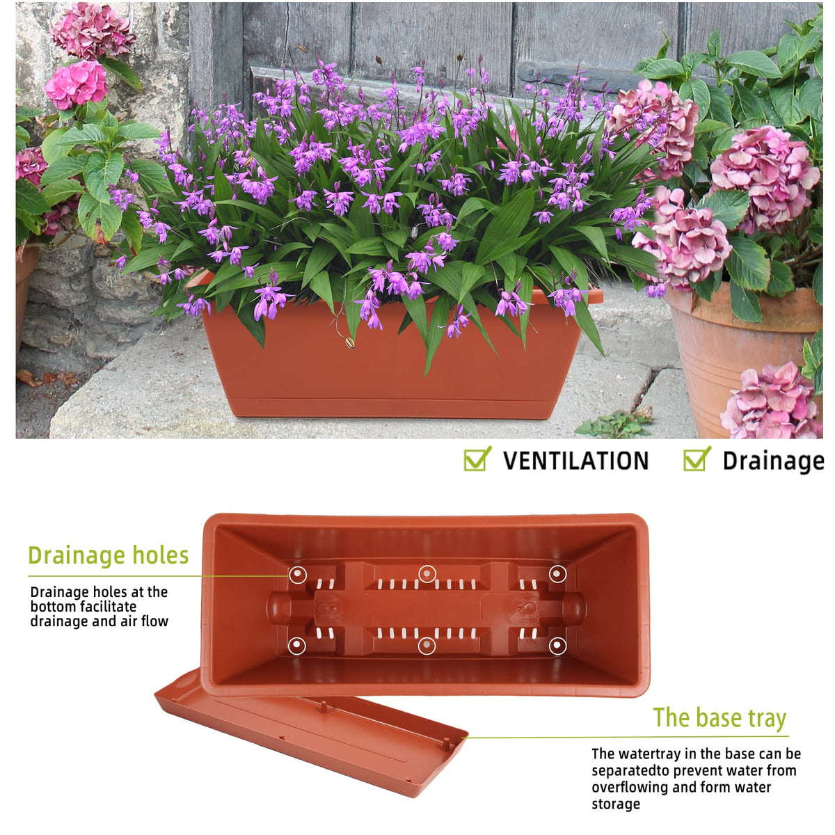 Herbs growing in a Hananojia window box planter on a bright kitchen window