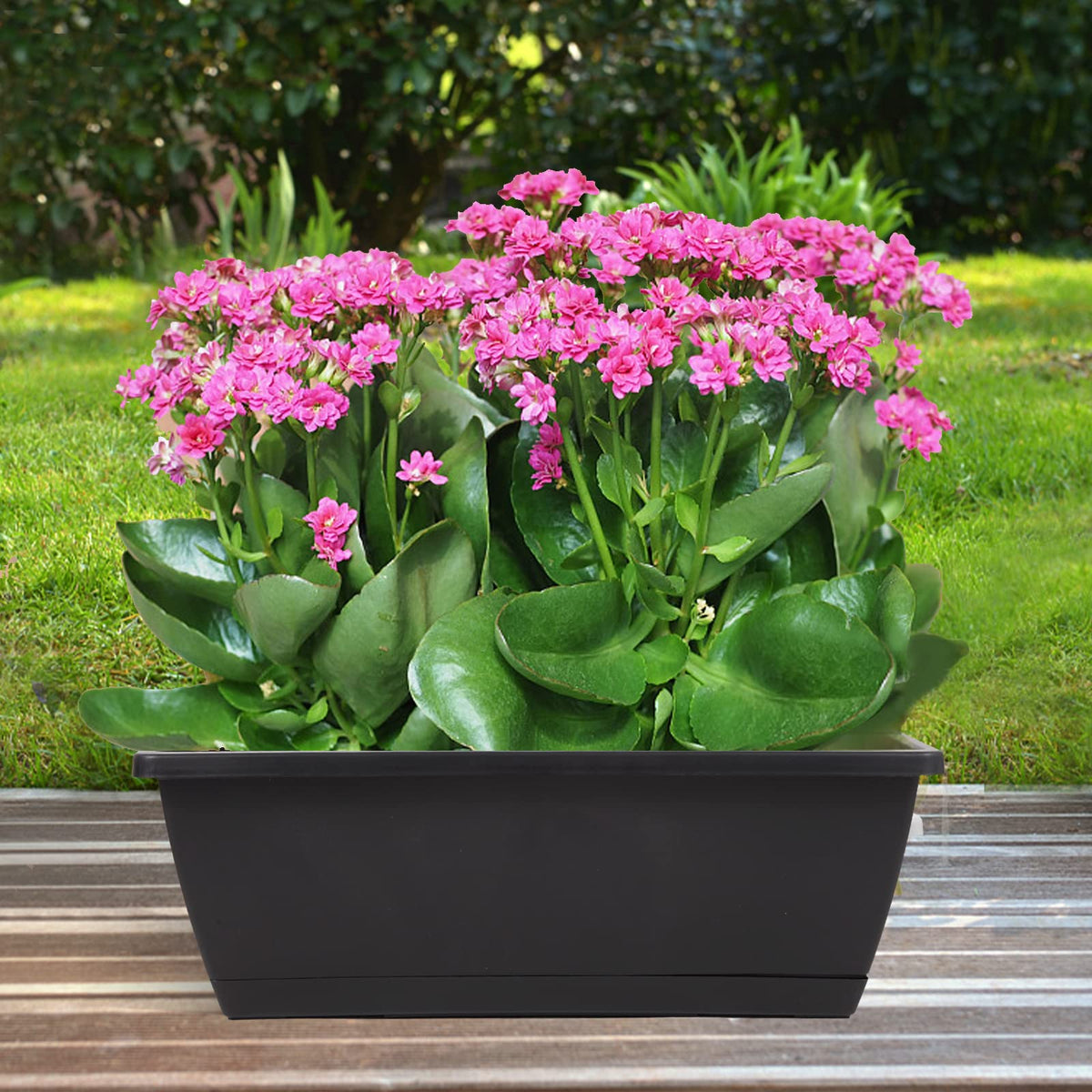 Hananojia rectangular window planter with attached saucer for clean surfaces