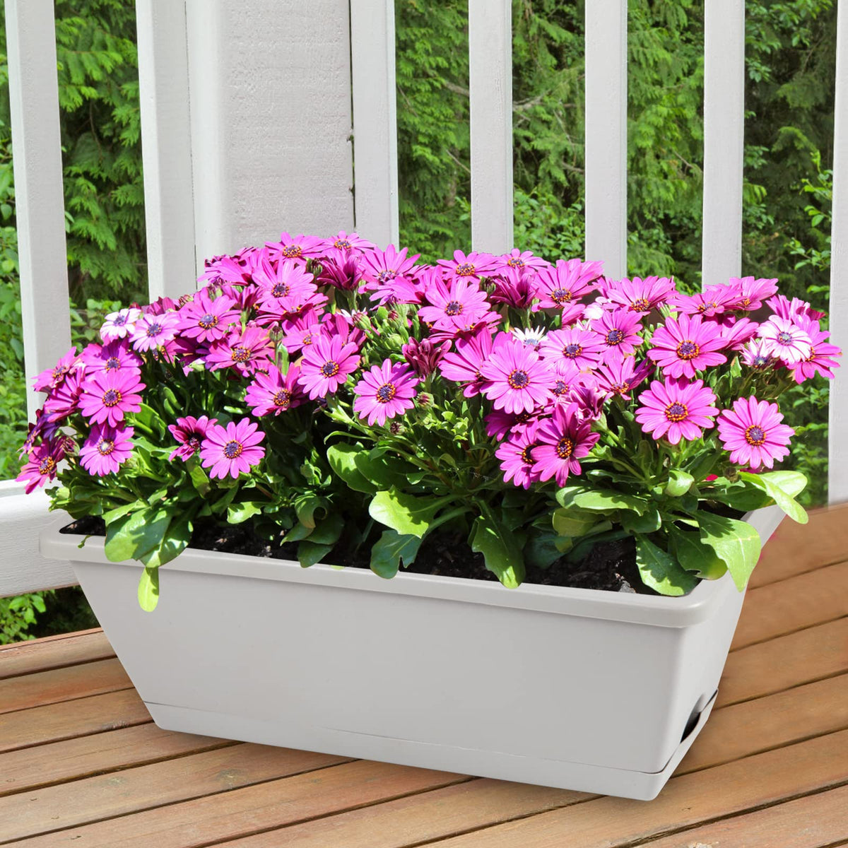 Hananojia window box planter with drainage holes and attached saucer prevents leaks and promotes soil health.