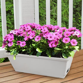 Hananojia window box planter with drainage holes and attached saucer prevents leaks and promotes soil health.
