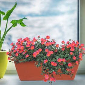 Durable plastic material of Hananojia rectangular window box planter
