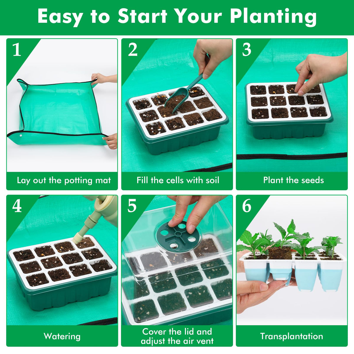 Hanaoyo clear covers and base trays support consistent moisture and air circulation.