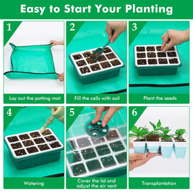 Hanaoyo clear covers and base trays support consistent moisture and air circulation.