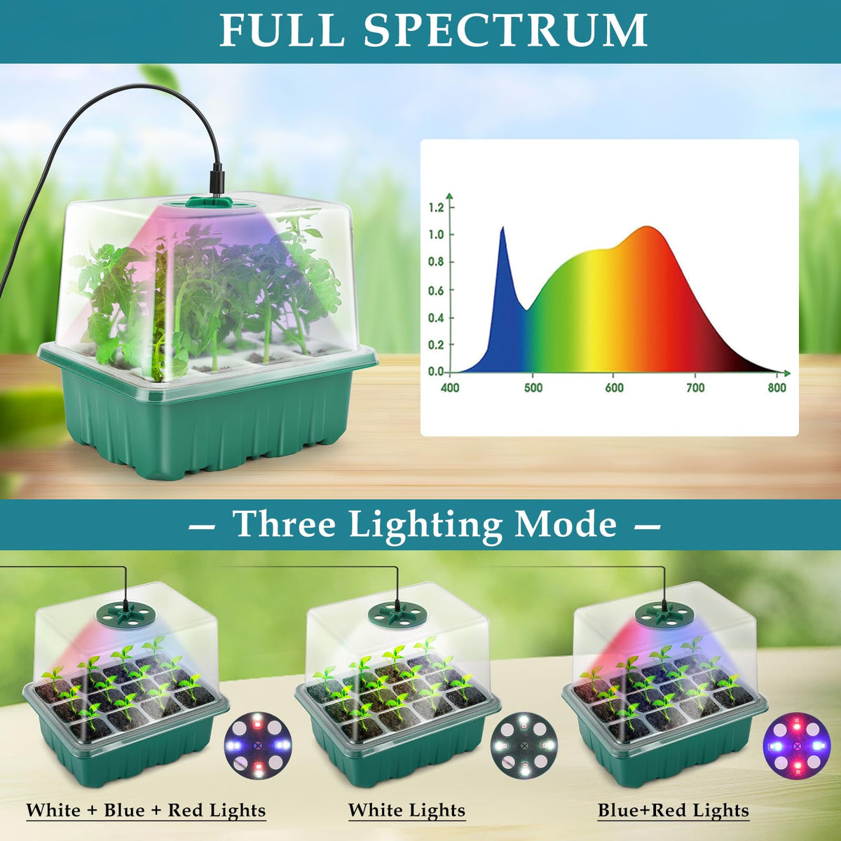 Hanaoyo complete seed starting kit, ready to simplify gardening setup.