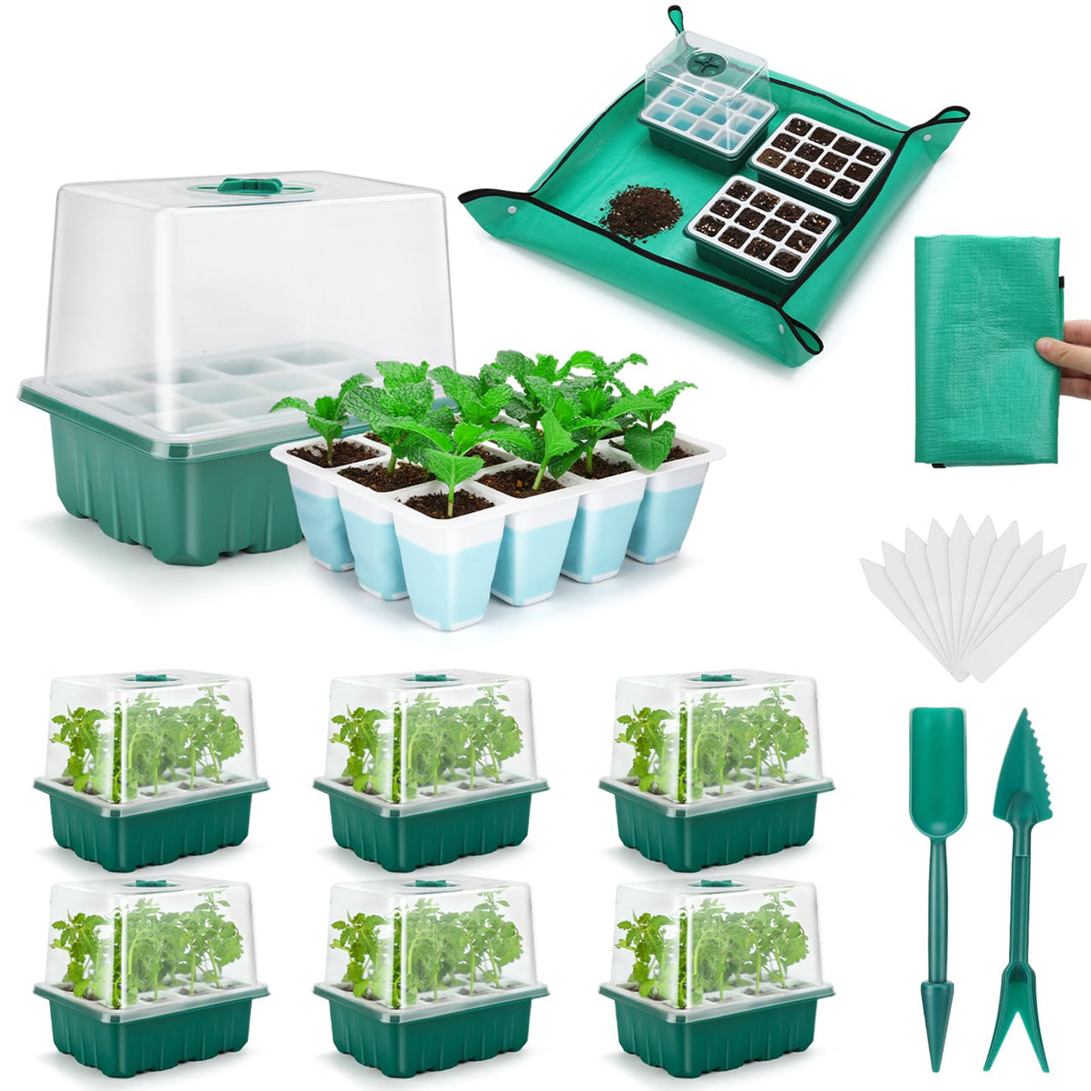 Hanaoyo seed starter tray 72 cells ready for indoor germination and easy transplanting.