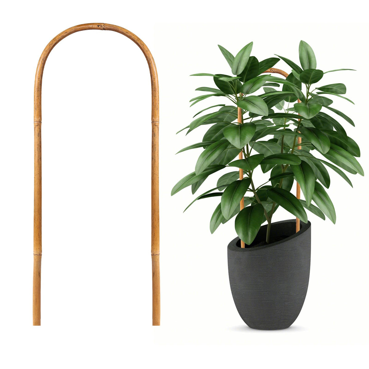 Hanaruer bamboo trellis 16-inch U-shape supports climbing plants.