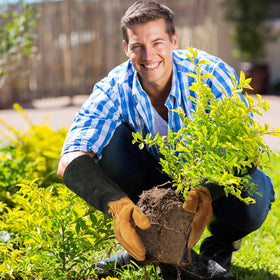 HANDLANDY breathable leather gloves with cotton lining support comfort during gardening.