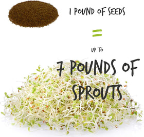 Handy Pantry 5-part salad mix sprouts ready to add to meals.