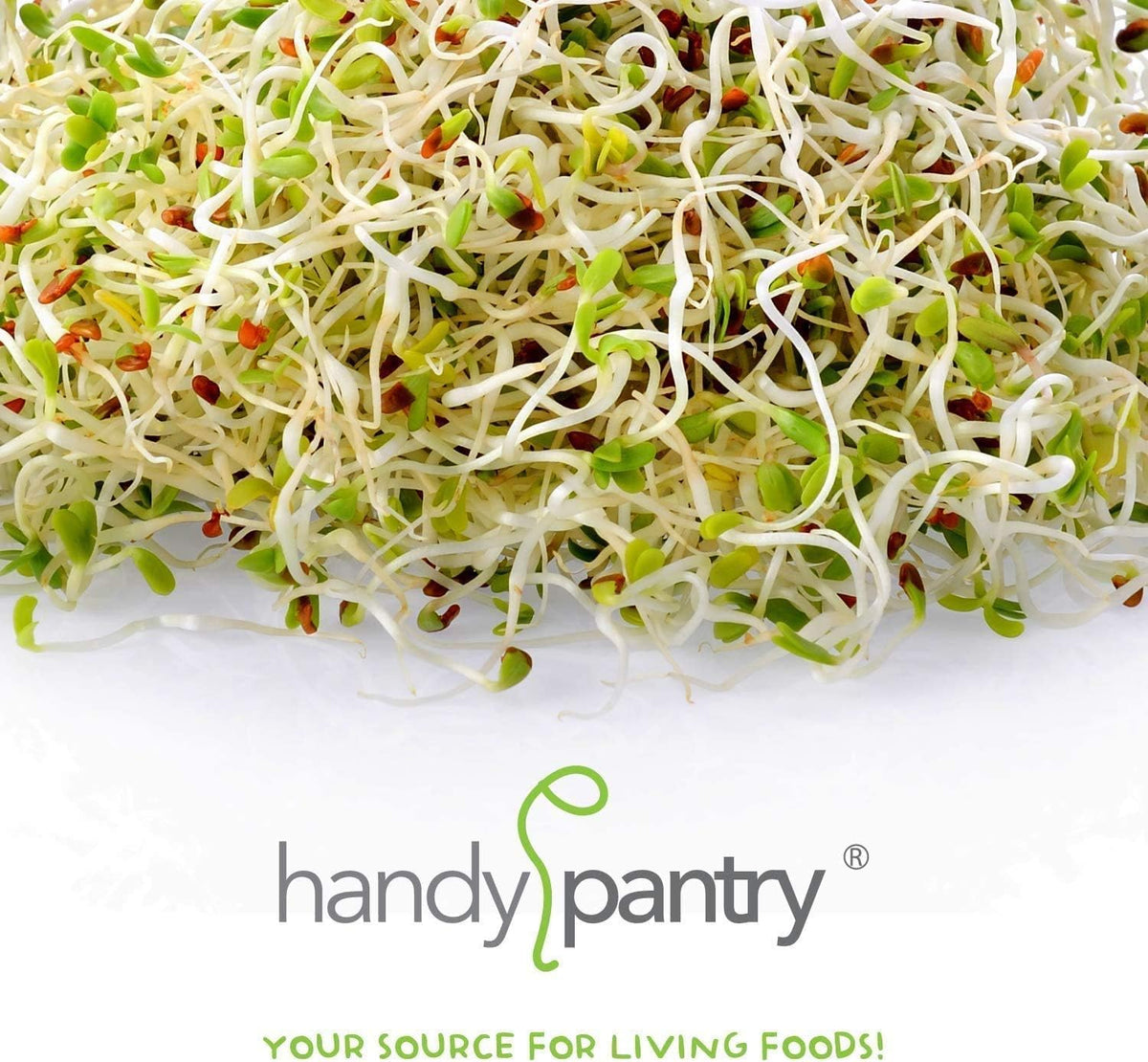 Handy Pantry 96-page sprouting guide included for beginners.