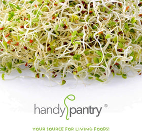 Handy Pantry 96-page sprouting guide included for beginners.