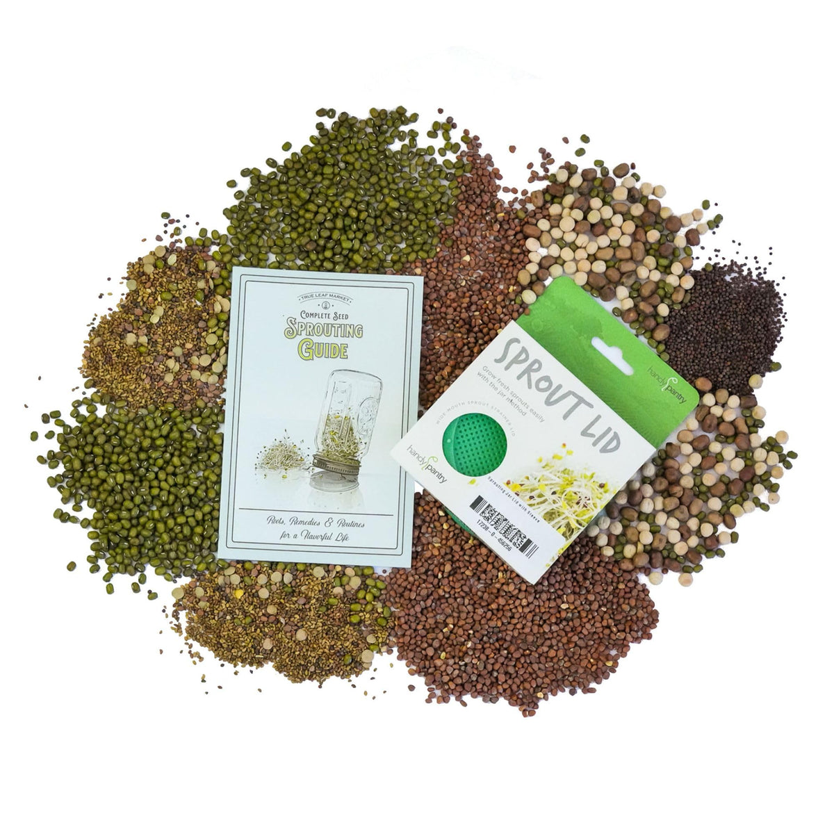 Handy Pantry alfalfa sprouting seeds in a tray for quick sprouts.