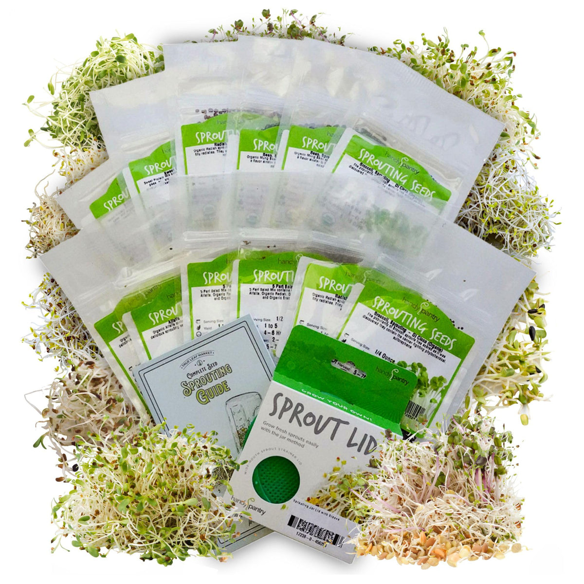 Handy Pantry broccoli sprouting seeds in a jar for fresh home microgreens.