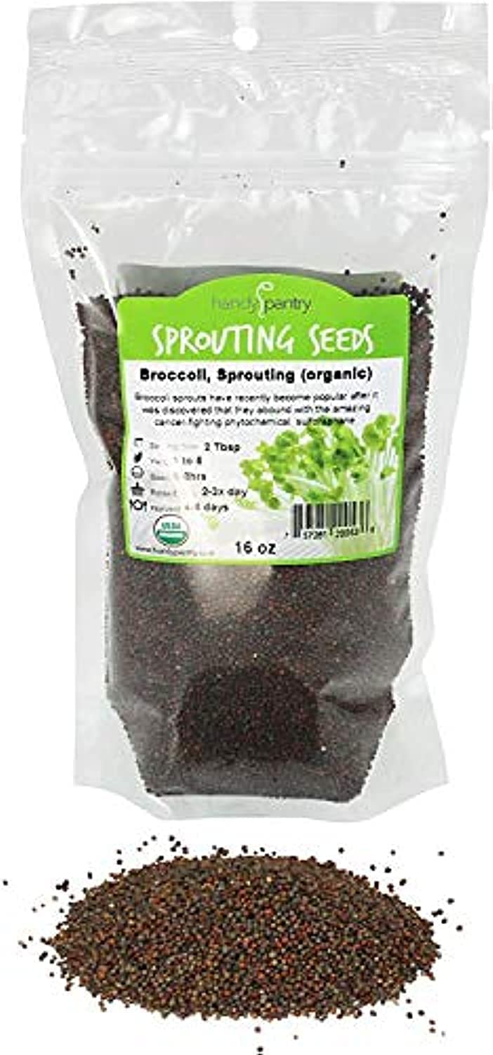 Handy Pantry broccoli sprouts seeds in a 1 lb bag for home sprouting.