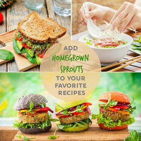 Handy Pantry indoor sprouting system for year-round harvests at home.