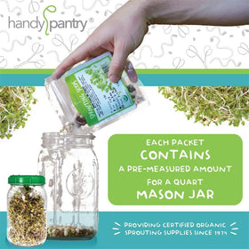 Handy Pantry mung sprouting seeds germinating for high-protein sprouts.