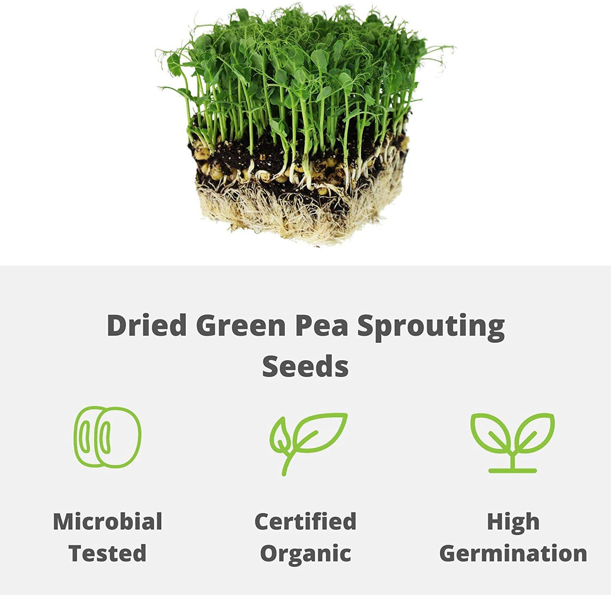 Versatile Handy Pantry green pea seeds for sprouts and microgreens