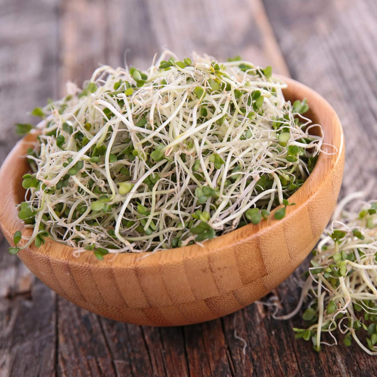 Handy Pantry sweet protein mix sprouts for flavor and nutrition.