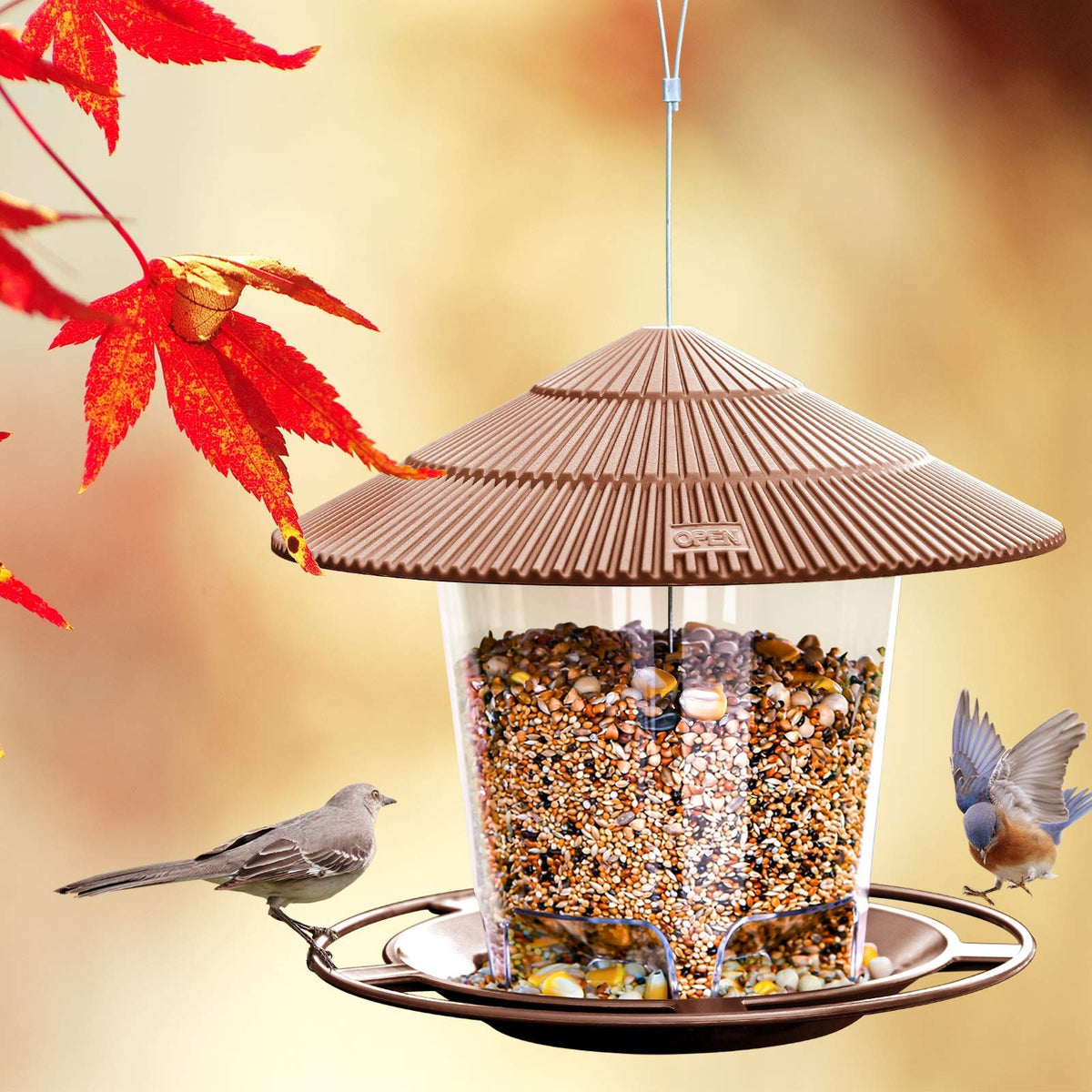Hanizi Bird Feeder inclined roof keeps seeds dry during rain