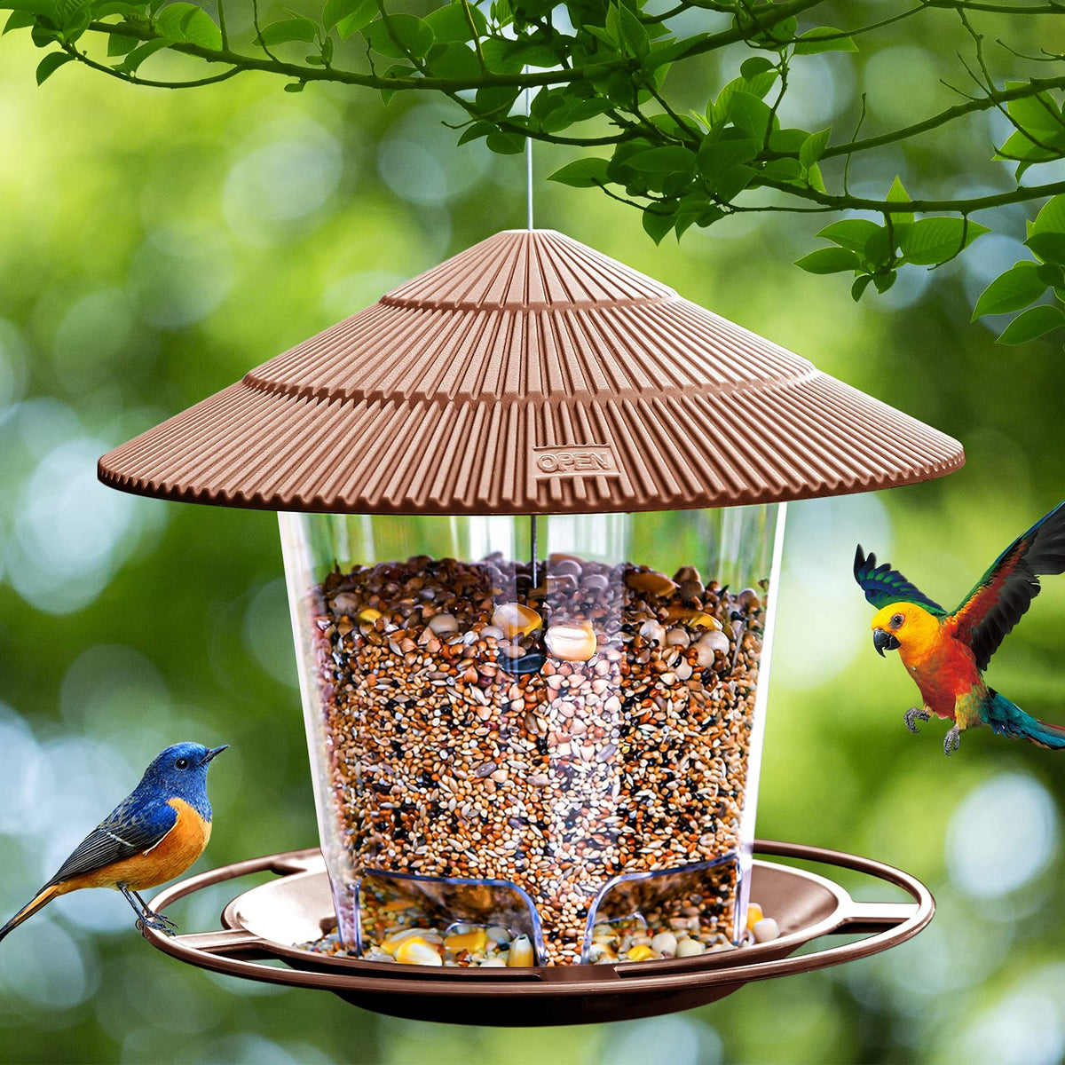 Hanizi Bird Feeder large capacity of 47 oz for longer viewing