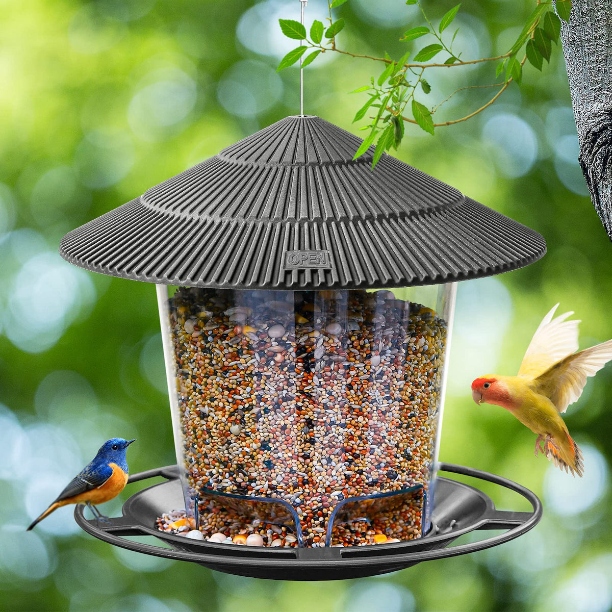 Hanizi Bird Feeder 47 oz capacity supports longer bird visits between refills.