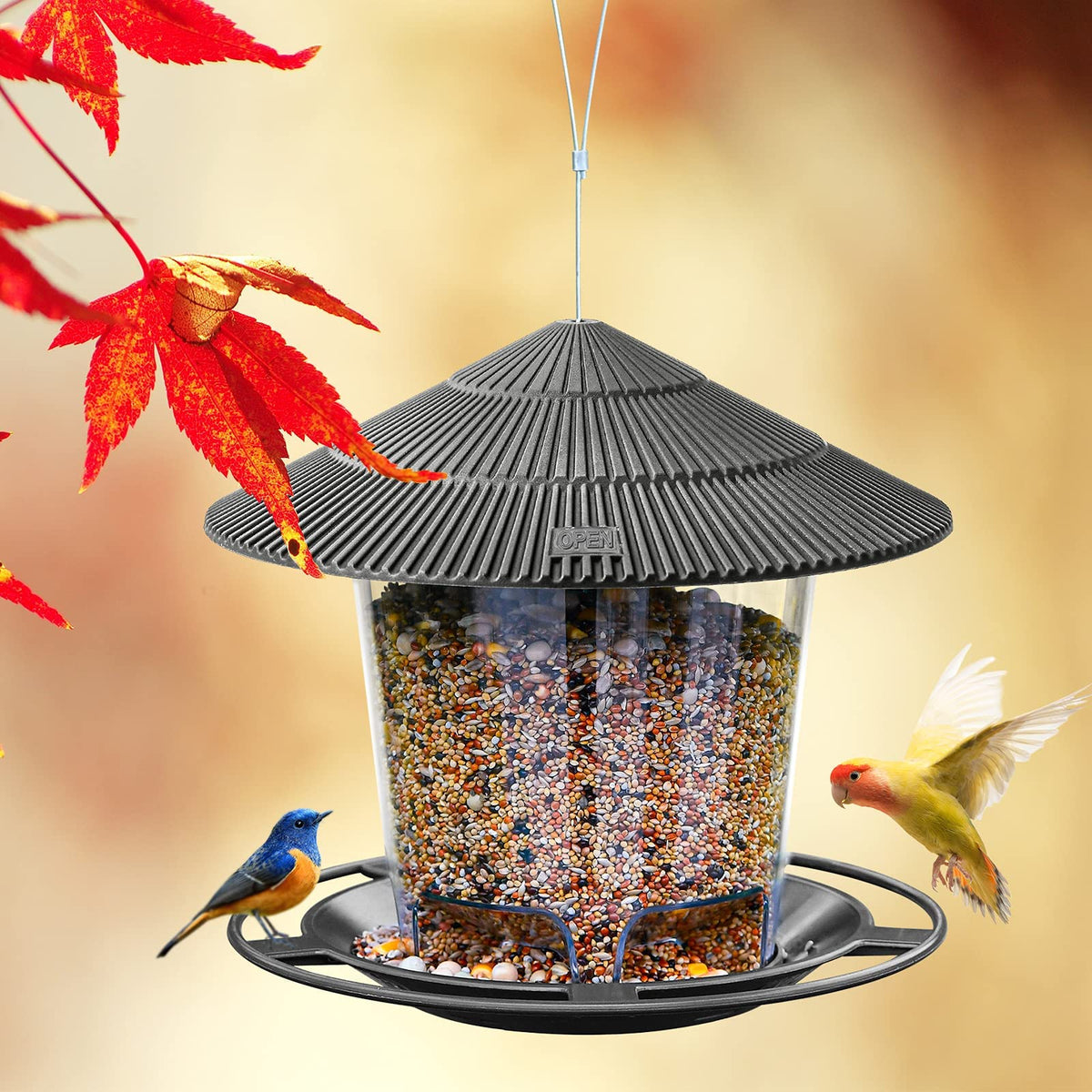 Hanizi Bird Feeder inclined roof helps keep seeds dry in rain.