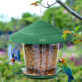 Hanizi bird feeder hanging on sturdy rope to deter squirrels