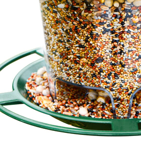 Inclined roof on Hanizi feeder helps keep seeds dry