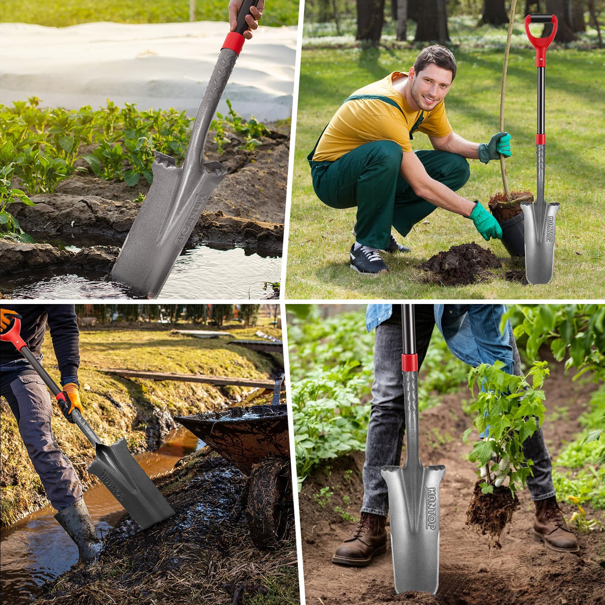 HANTOP potato-digging spade enables clean potato harvests and root management