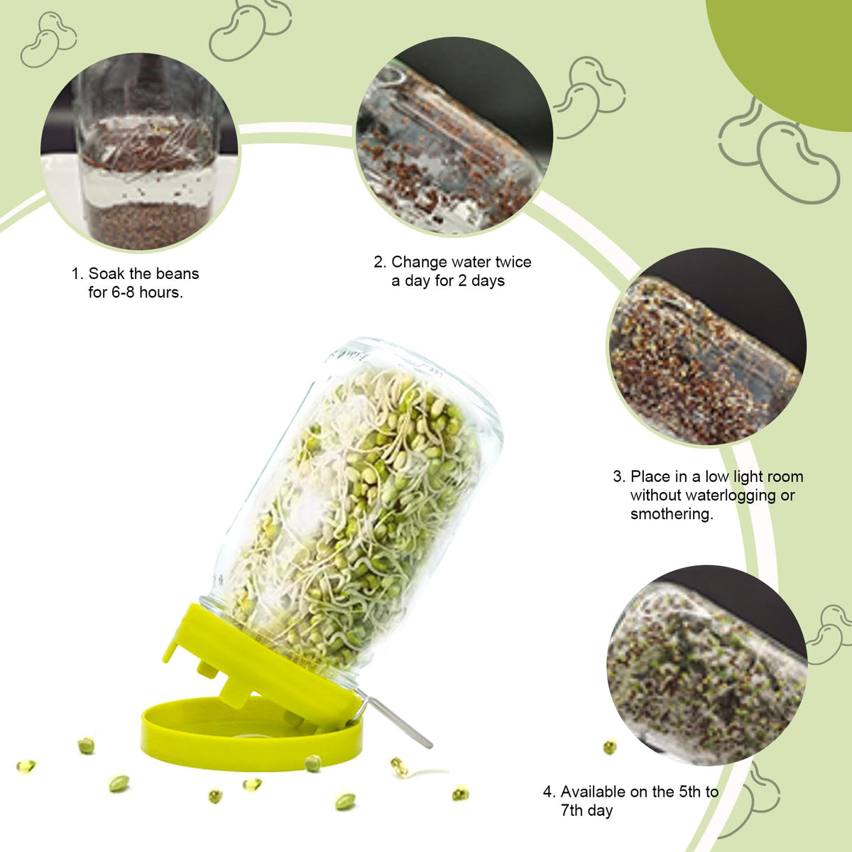 HANTUSWUS tilted lid design improves airflow and even moisture distribution for healthier sprouts