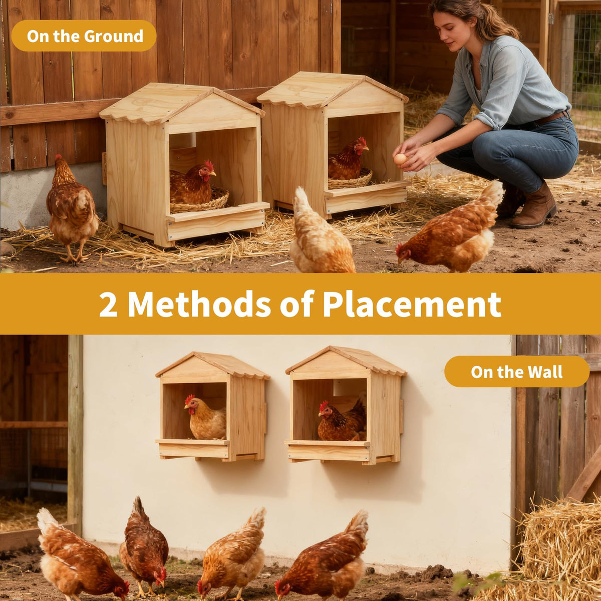 HaoCpetslian detachable ramp simplifies hen access and cleaning