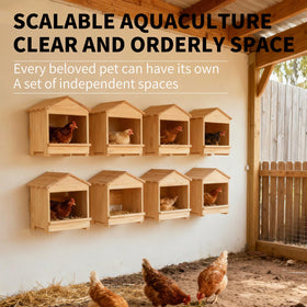 HaoCpetslian compact nesting space supports comfortable egg laying