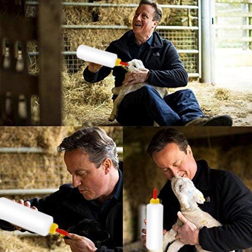 Haokixin livestock care collection supports gentle, practical feeding routines.