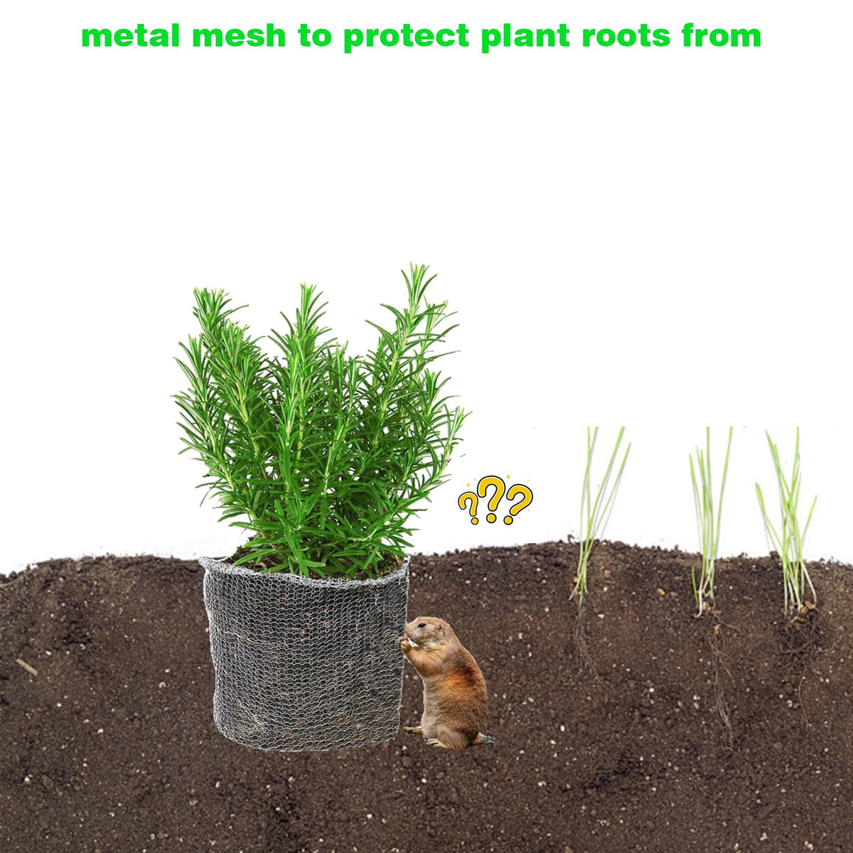 HAORESULT gloves included for simple garden installation