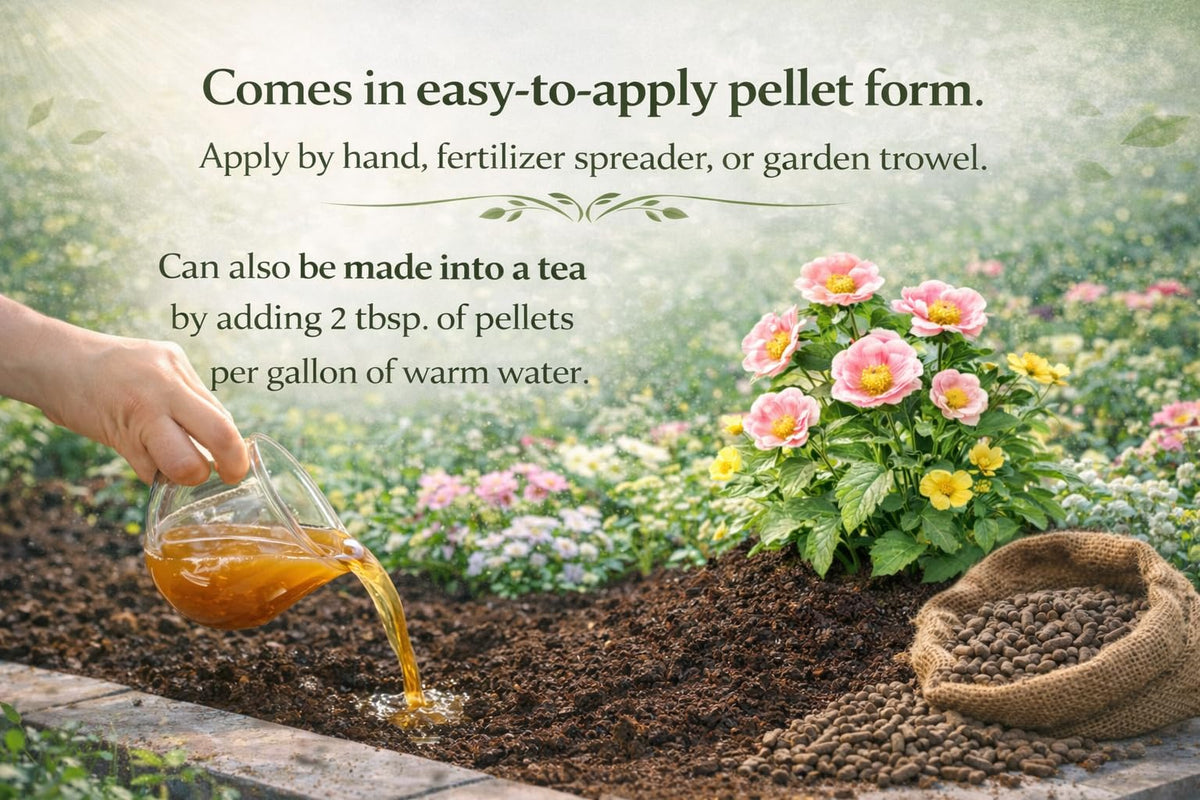 Happy Bunny Farms microorganisms boost nutrient availability and soil life.