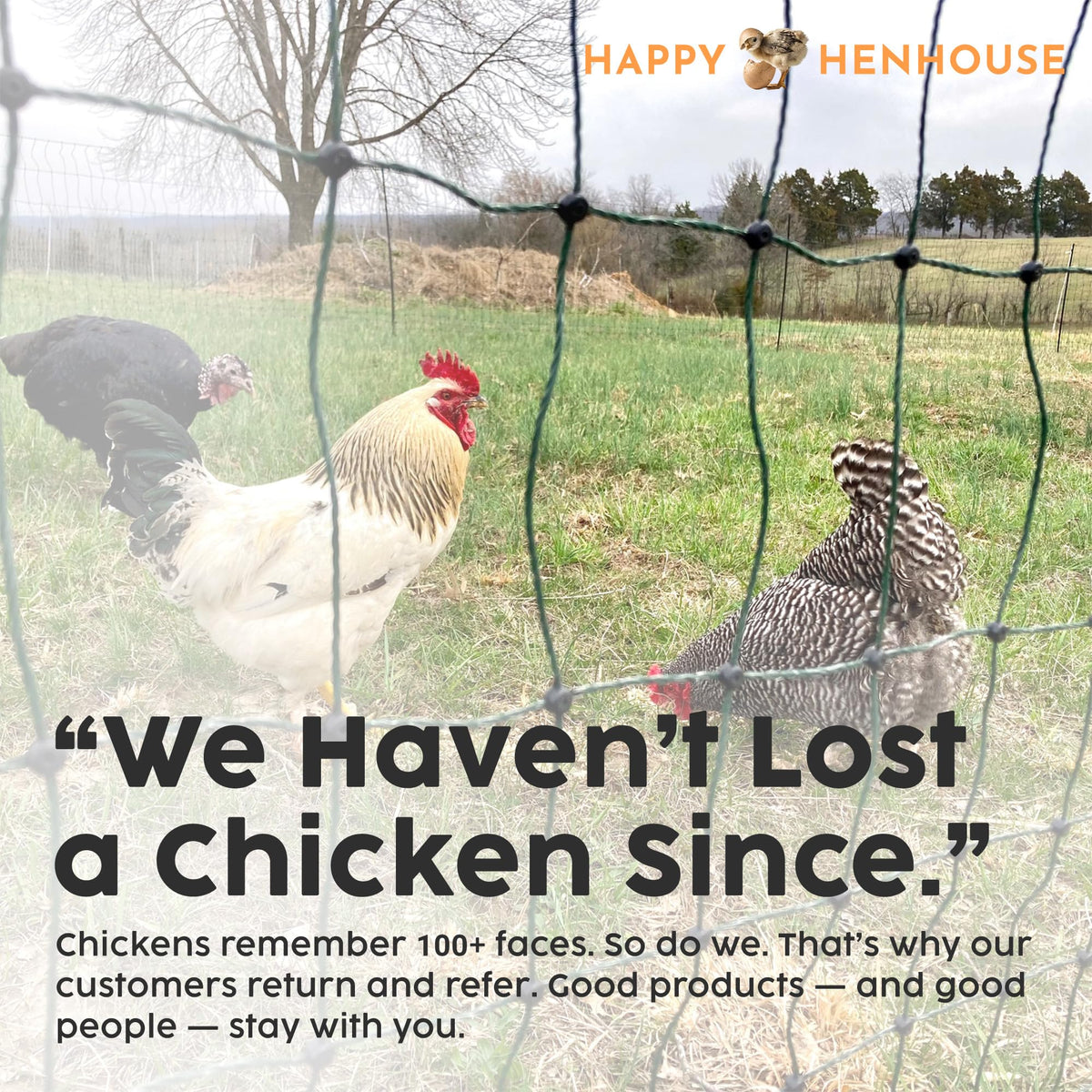 Happy Henhouse charger American-made with trusted customer support