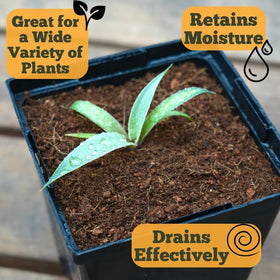 Happy Trees Coco Coir OMRI-listed organic media for eco-friendly gardening.