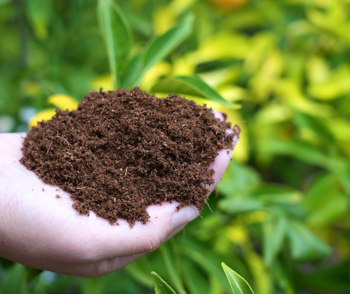 Happy Trees Hemp Coco Coir peat-free OMRI-listed material supports sustainable gardening.