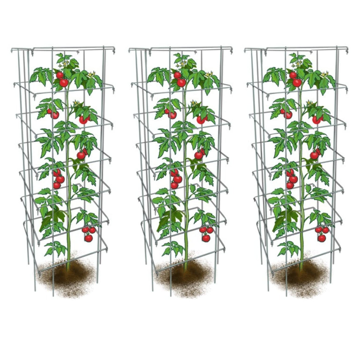 Happy Trees 58-inch tomato cages offer tall plant support without crowding.