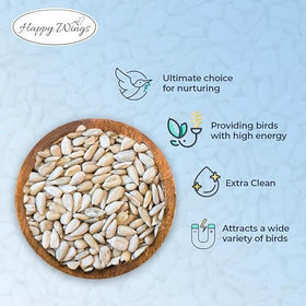 Happy Wings backyard feeding setup with these seeds
