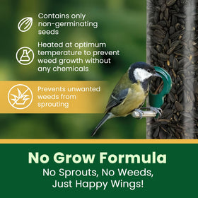 Happy Wings seeds closeup showing premium quality and energy-rich content