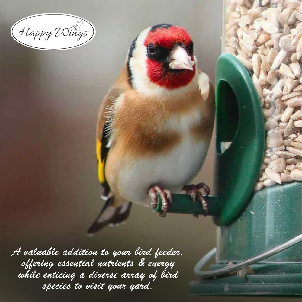 Happy Wings easy-clean setup for tidy bird feeding areas