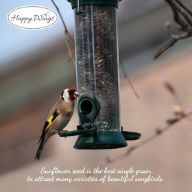 Happy Wings energy-rich seeds powering active backyard birds