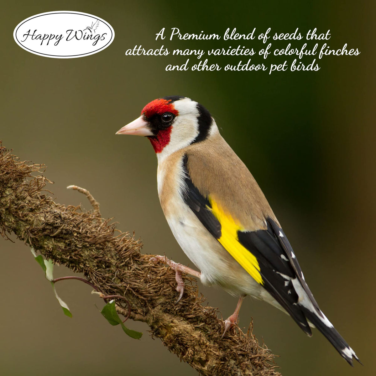 Happy Wings Finch Blend attracts doves, siskins, cardinals and titmice