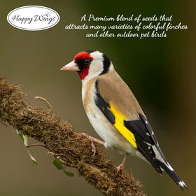 Happy Wings Finch Blend attracts doves, siskins, cardinals and titmice