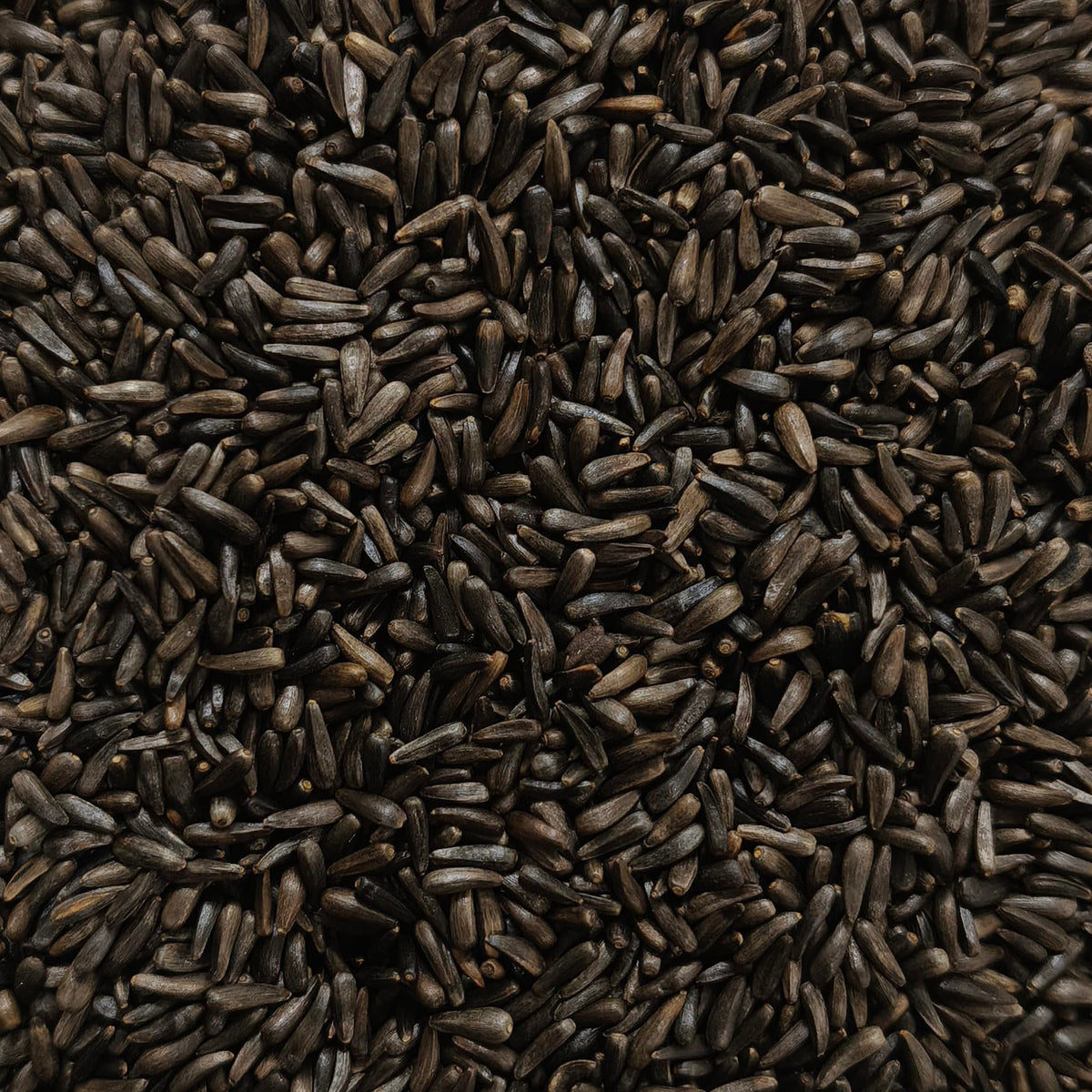 Happy Wings no-grow Nyjer seeds help prevent unwanted sprouting in your yard.